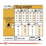 غذای سگ یورکشایر ادالت رویال کنین Royal Canin Yorkshire Terrier Adult