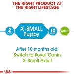 غذای سگ رویال کنین ایکس اسمال پاپی RoyalCanin X-Small Puppy